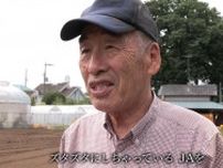 「コメ騒動」で揺れる農家の“組織票”の行方 組合、離島…有権者の選択と一票の重み：ガイアの夜明け