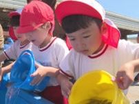 「大きくなってね」カサゴ稚魚１０００匹放流　園児がお手伝い　漁獲量増加を目指す　