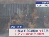 ニワトリがクマに襲われたか「入ったらクマがここに」小屋で住人がクマに遭遇【新潟･村上市】