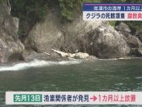 海岸に1カ月以上放置…クジラの死骸が漂着、腐敗臭が集落に【新潟･佐渡市】