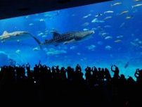 夏はやっぱり“沖縄”に行きたい！ 旅行には必須なレンタカー 他地域の空港とは異なる 那覇空港特有の「レンタカー事情」とは