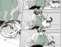 段ボール使わないくせに。処分しようとすると悲しい顔をされて心が揺らぐ…／『夜は猫といっしょ』