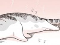 【ネコ漫画】猛暑に耐えられず溶けそうな愛猫!?ネコが選んだ意外な熱中症対策にSNSで7.7万いいね！