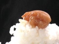 【島田・梅工房おおいし】すっぺ〜と叫んじゃう! 受賞歴あり「八房梅」　オリーブオイル漬けが新感覚