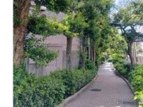 25年の正社員生活からパートを選択　年金「支える側」だった女性、出産で変化した働き方
