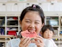 地元特産「甘ーい」　長井でスイカ給食