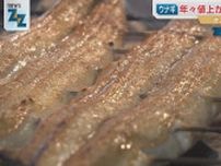 エサでウナギをメスに！？育てられる数を10倍にする工夫も…私たちの食卓を変える？ウナギ研究最前線