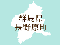 （群馬）長野原町長野原でイノシシ出没　７月２日午後